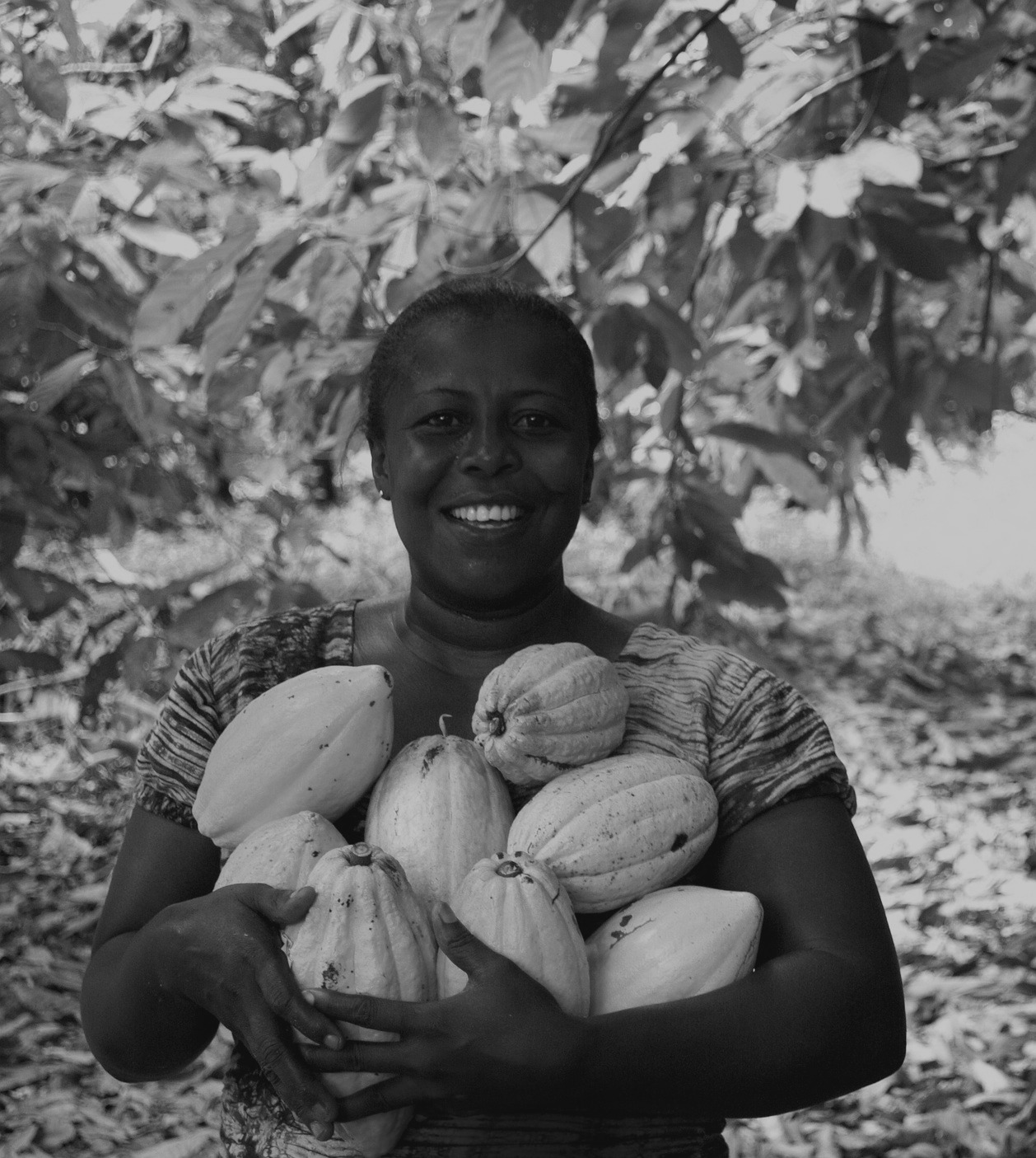 Frau hält Kakaofrüchte